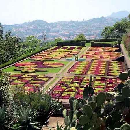Forum Gardens